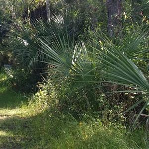 Meet your Posher, Inez